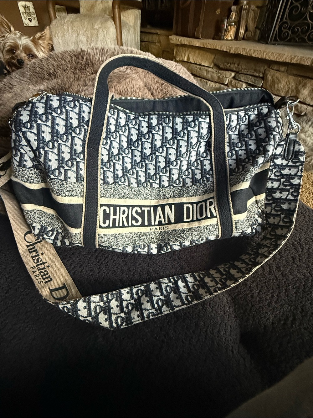 Dior Blue/Beige /Black Canvas Travel trotter Tote Bag
